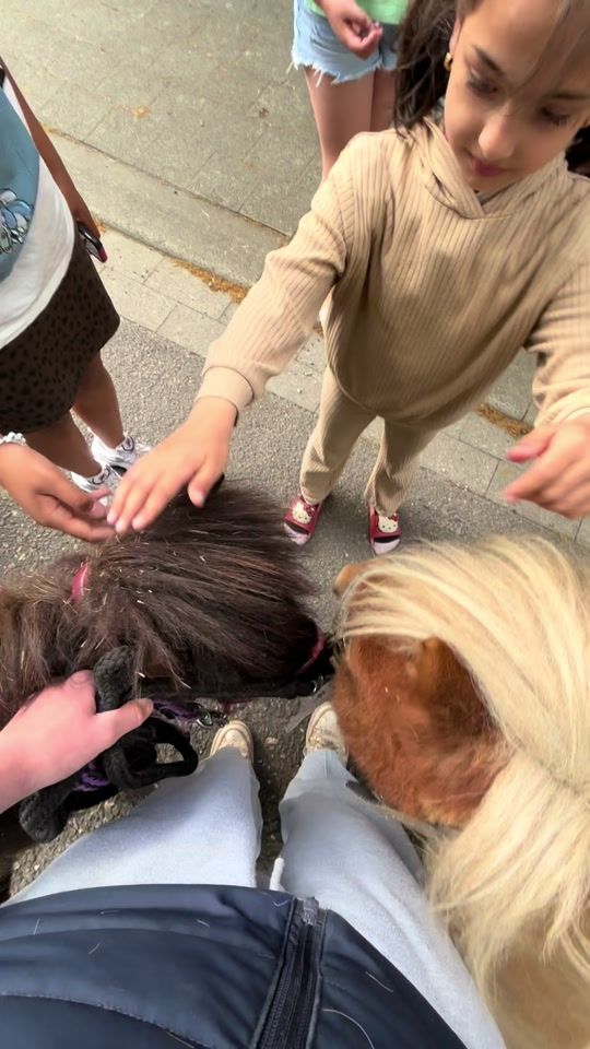 TikTok video thumbnail by equestrian.warre