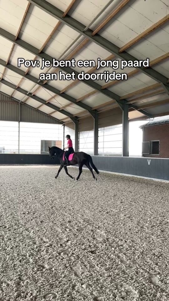 TikTok video thumbnail by equine.demi