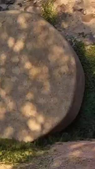 TikTok video thumbnail by favoramara