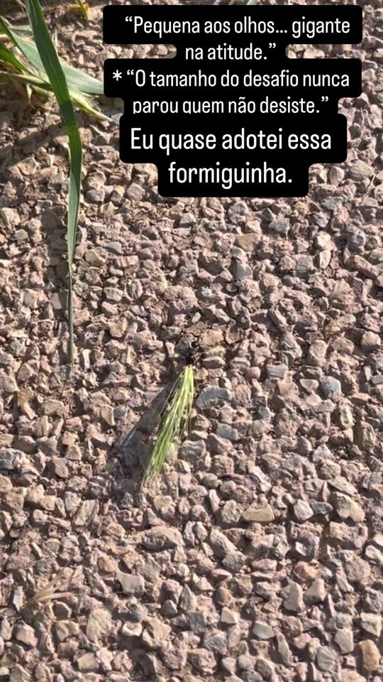 TikTok video thumbnail by belenice.v