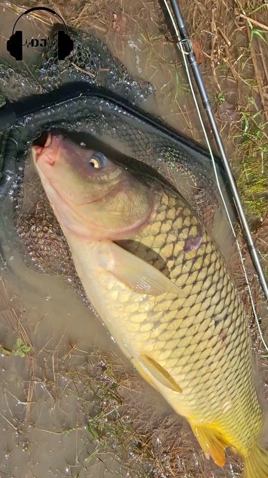 TikTok video thumbnail by fly_fishing_channel