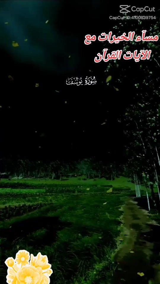 TikTok video thumbnail by hafssa366b