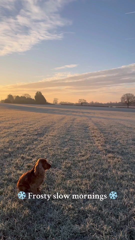 TikTok video thumbnail by staceysolomon