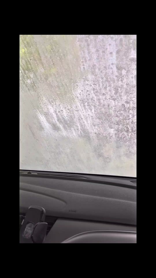 TikTok video thumbnail by sladami_zebry