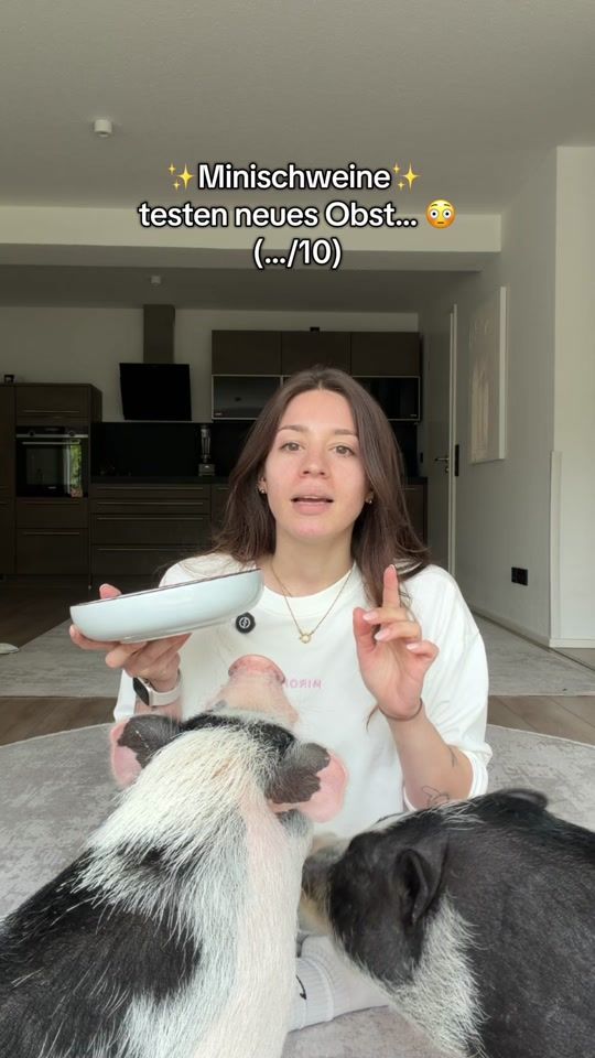 TikTok video thumbnail by milo.und.luna
