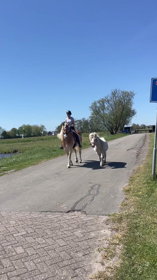 TikTok video thumbnail by equi_santje1