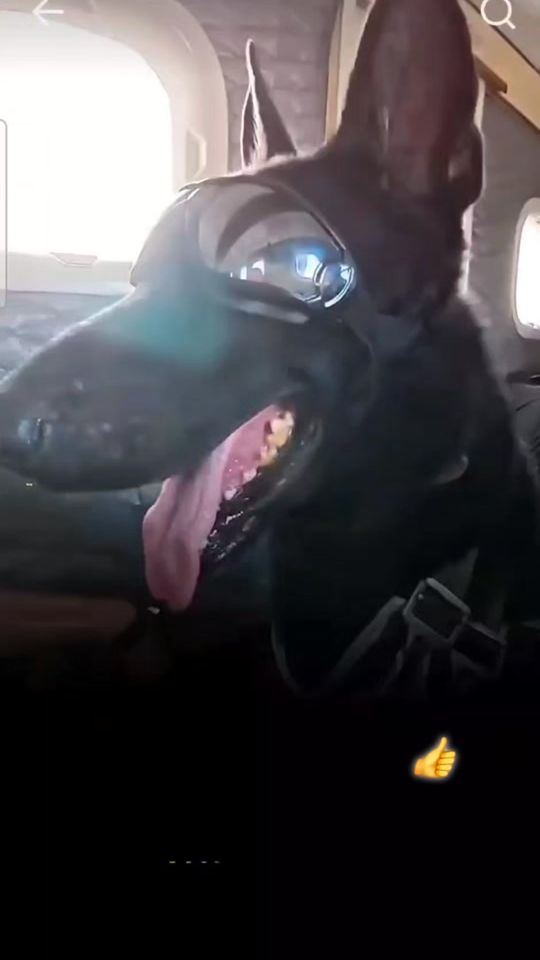 TikTok video thumbnail by ubcg_111