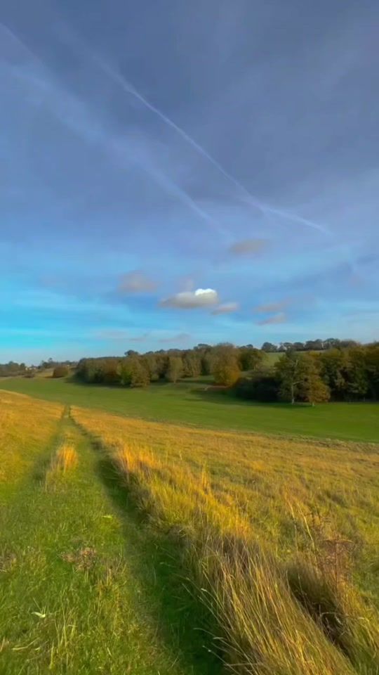 TikTok video thumbnail by xerowale