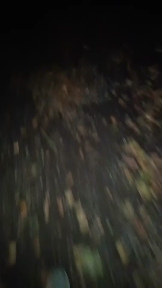 TikTok video thumbnail by futurator