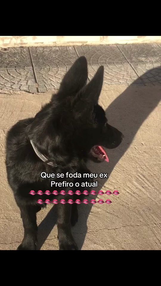 TikTok video thumbnail by joana.mourato