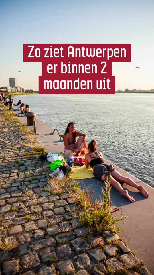 TikTok video thumbnail by stad_antwerpen