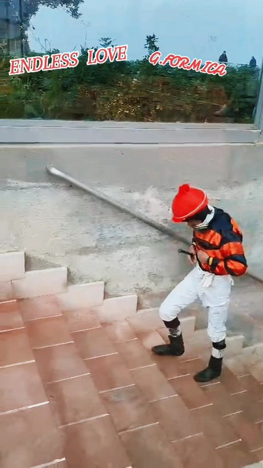 TikTok video thumbnail by formicagiovanni