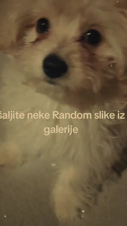 TikTok video thumbnail by geymer9410