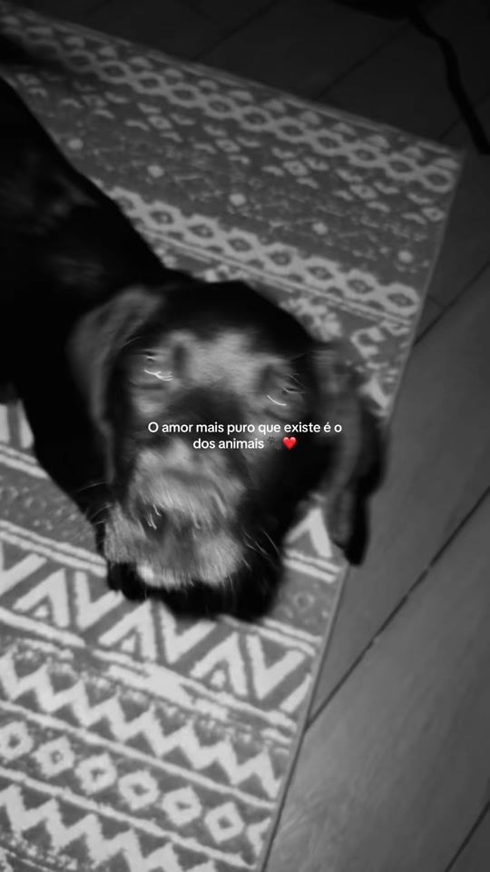 TikTok video thumbnail by digo._0