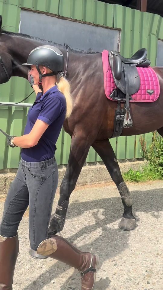 TikTok video thumbnail by equine.demi