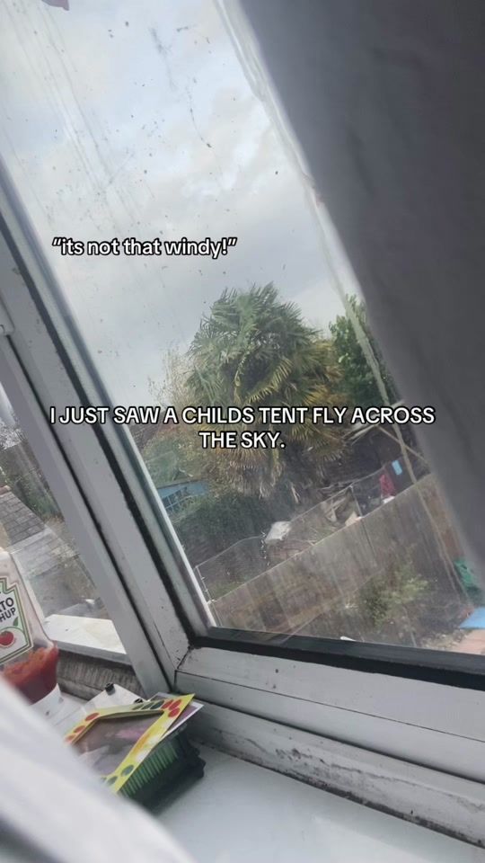 TikTok video thumbnail by daisy.kerinsxbackup