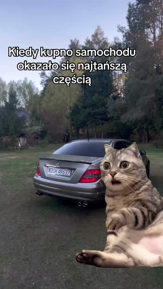 TikTok video thumbnail by mateuszw204