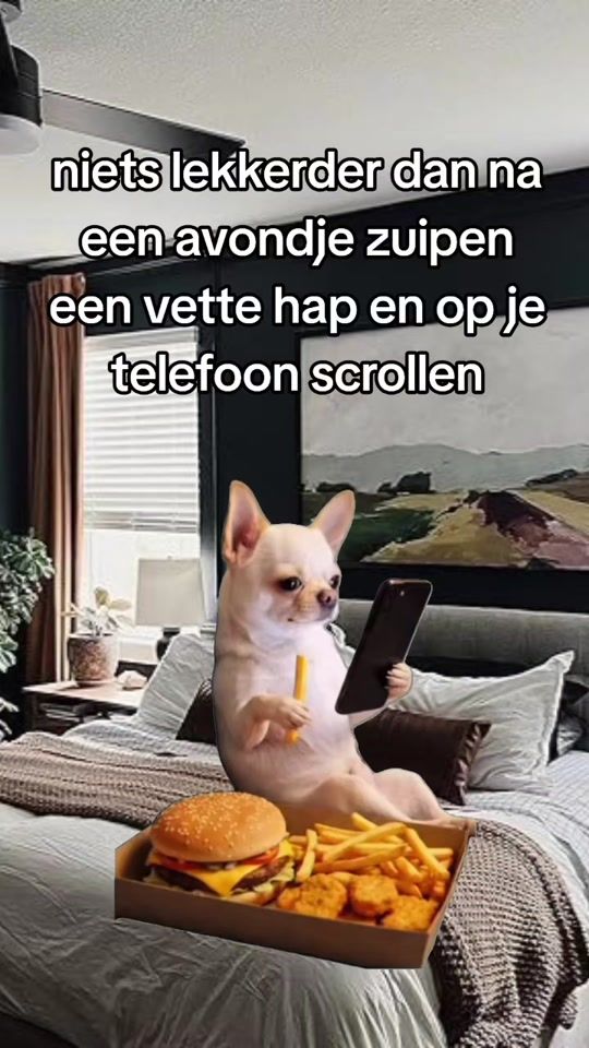 TikTok video thumbnail by potjelachen