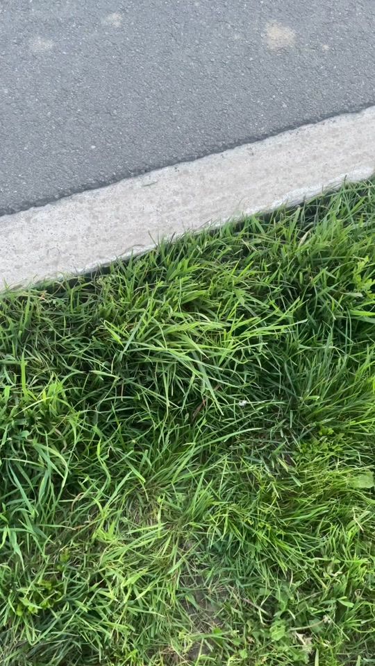 TikTok video thumbnail by sf.50c