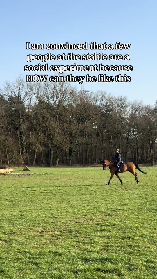 TikTok video thumbnail by ninaa.equestrian