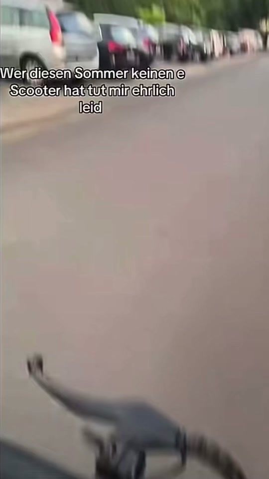TikTok video thumbnail by kurdischer_g