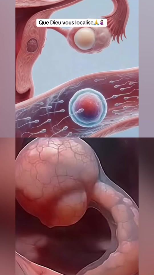 TikTok video thumbnail by aissata.doukoure