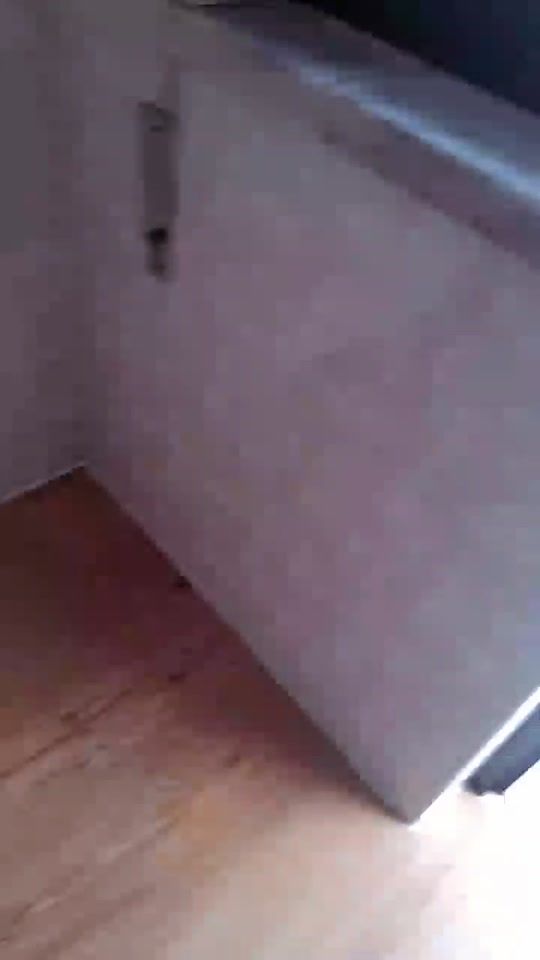 TikTok video thumbnail by catia_prates41