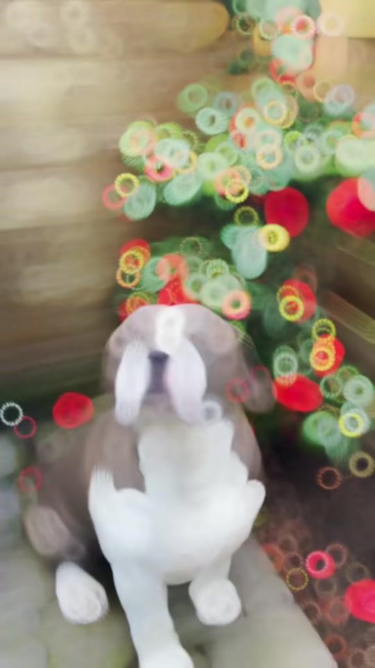 TikTok video thumbnail by miekiemoes75