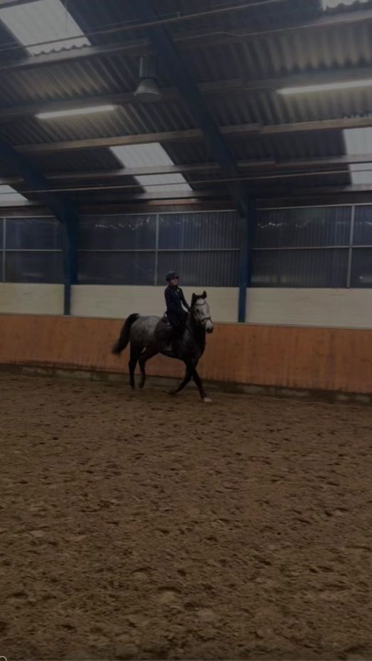 TikTok video thumbnail by bruno_pico2