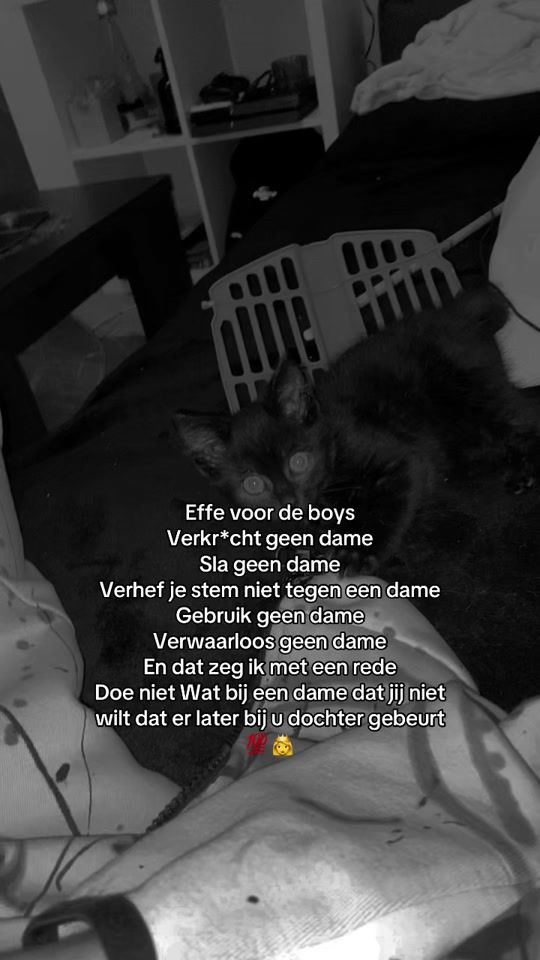TikTok video thumbnail by deze_neffo