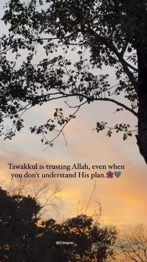 TikTok video thumbnail by s_begum26