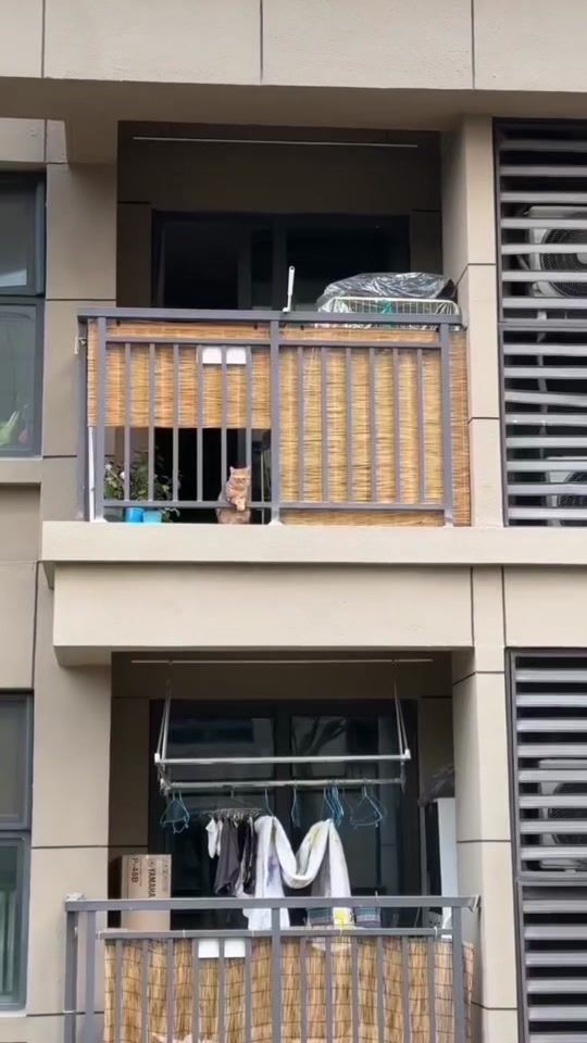 TikTok video thumbnail by sultan.6536