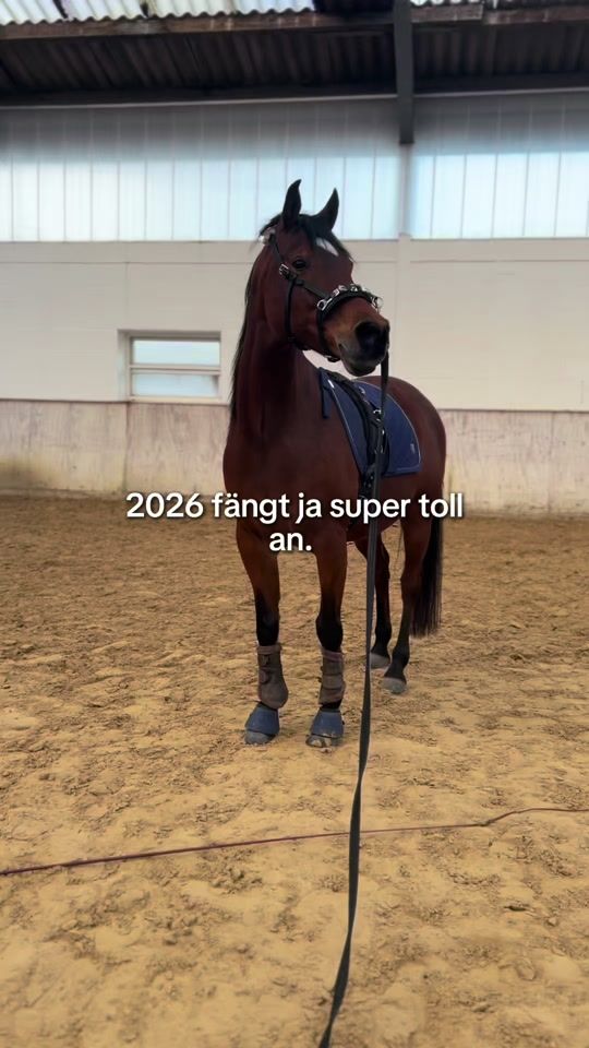 TikTok video thumbnail by kleines_sockyy