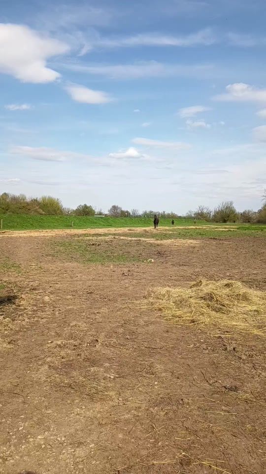 TikTok video thumbnail by norica_66