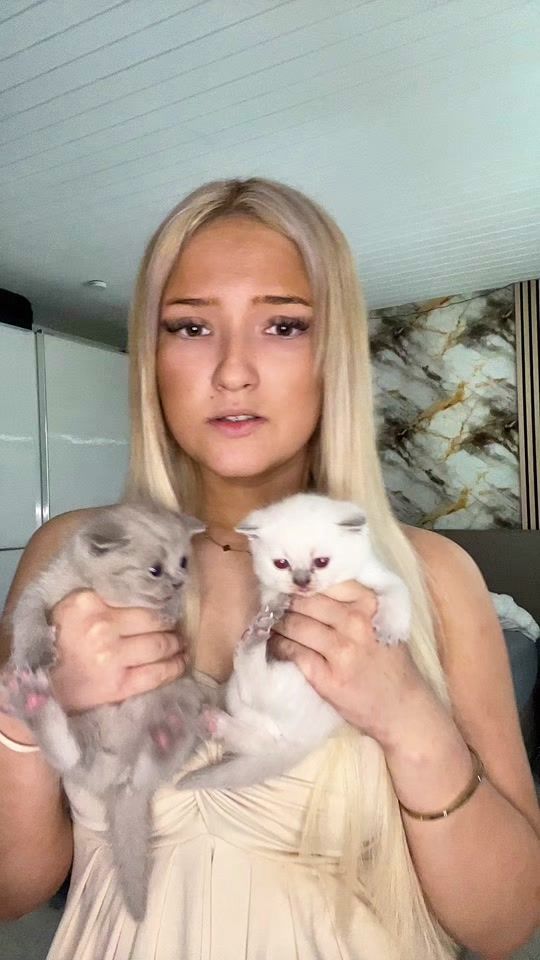 TikTok video thumbnail by dein.traummann