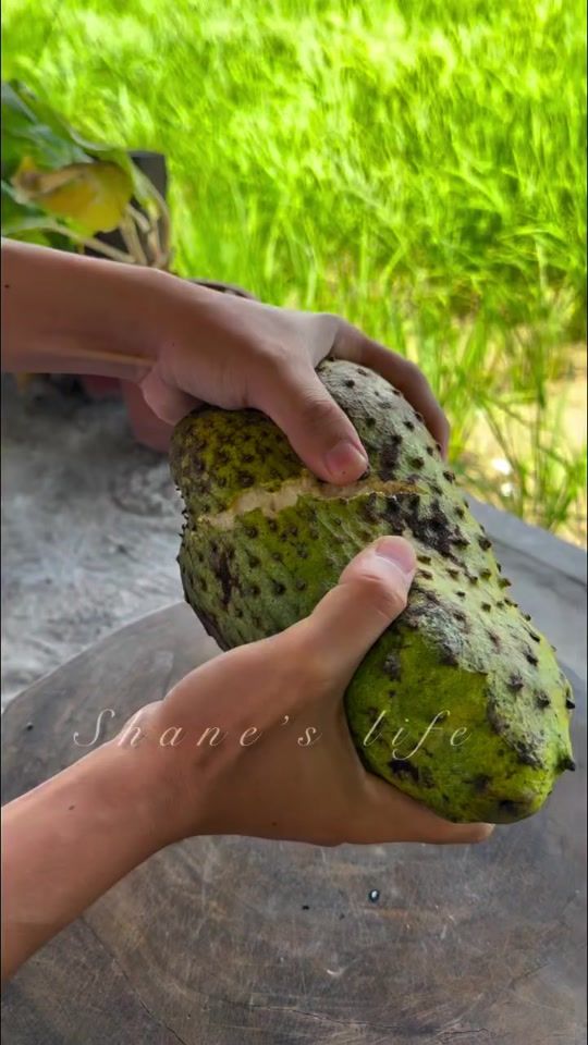TikTok video thumbnail by bibishakabamba