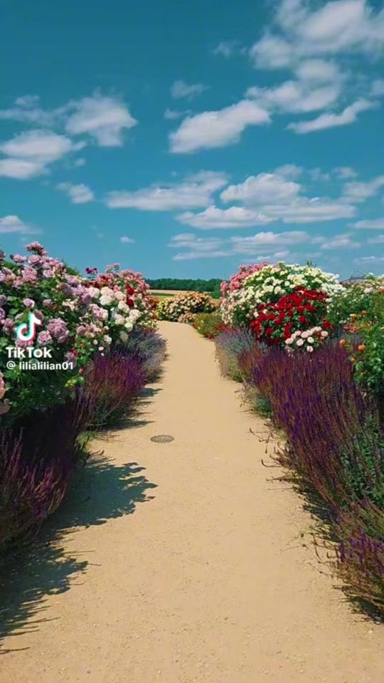 TikTok video thumbnail by manuel1691