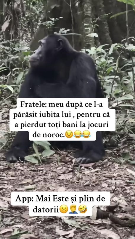 TikTok video thumbnail by pinterestdetoate