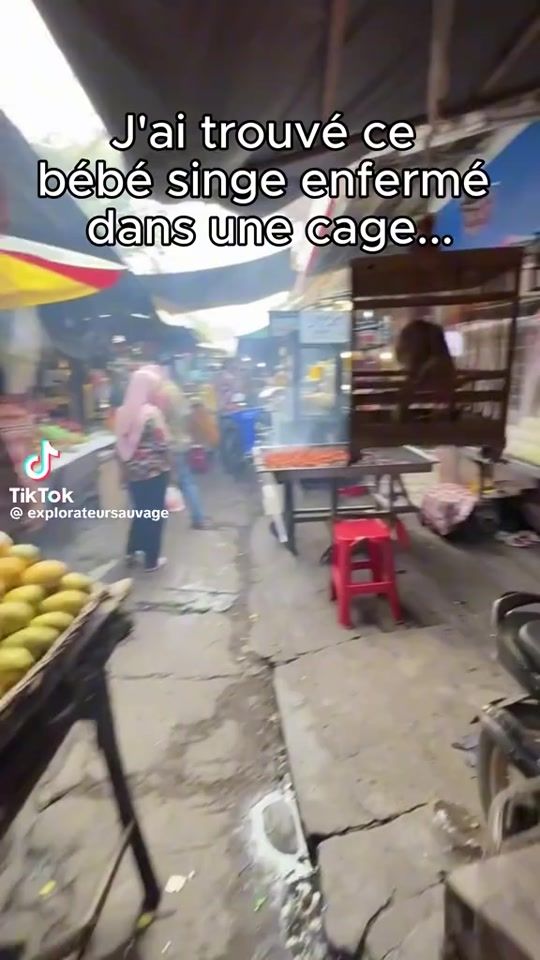 TikTok video thumbnail by paradisio.mass