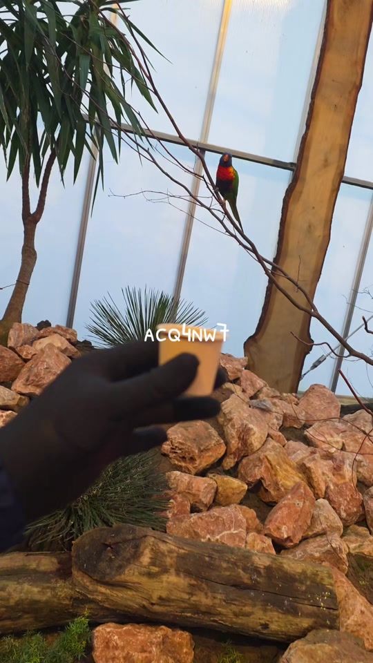 TikTok video thumbnail by acq4nw7