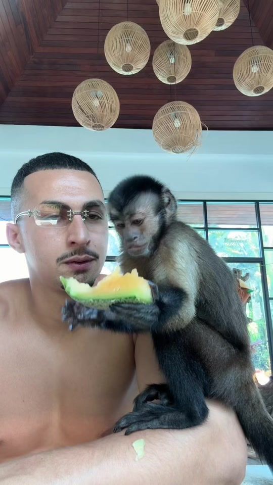 TikTok video thumbnail by tarzandz_