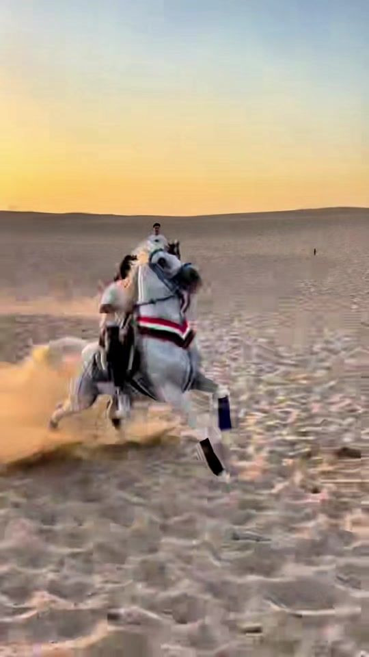 TikTok video thumbnail by bllak___90