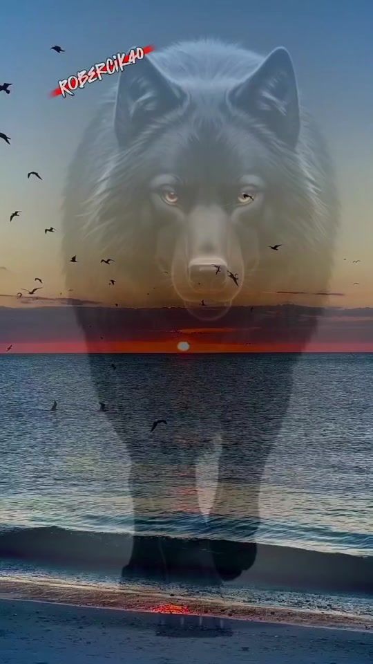 TikTok video thumbnail by robercik_40