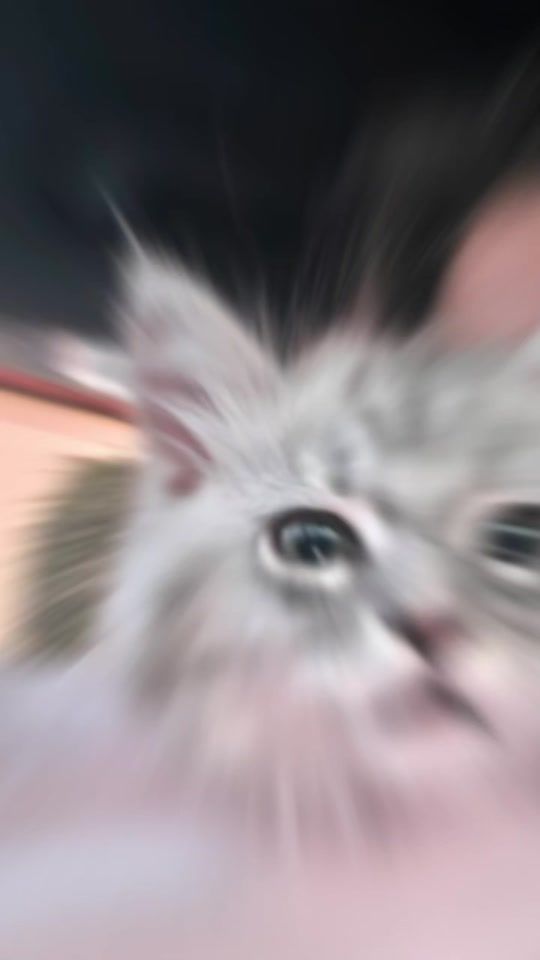 TikTok video thumbnail by pinky_lynx