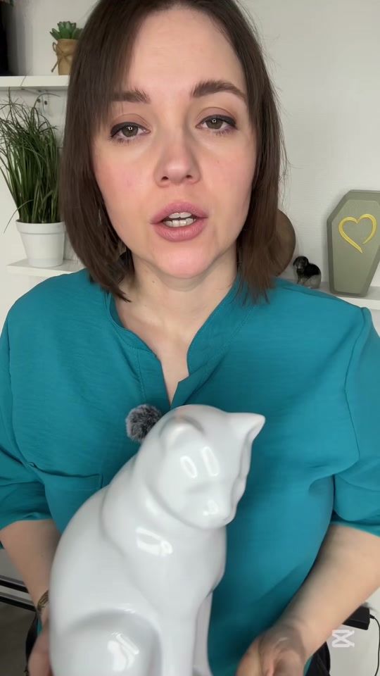 TikTok video thumbnail by damar.bizu