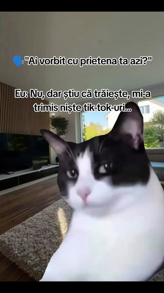 TikTok video thumbnail by filote_adina