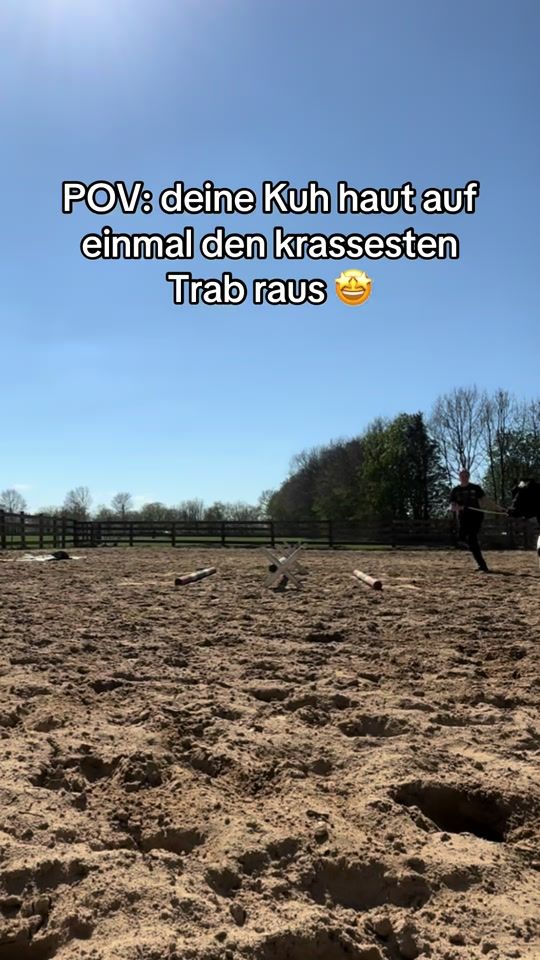 TikTok video thumbnail by de_koh_fruend