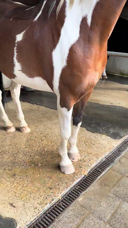 TikTok video thumbnail by amberkandorx