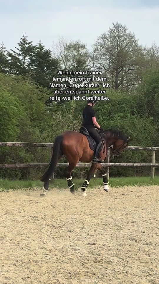 TikTok video thumbnail by cfb_dressage
