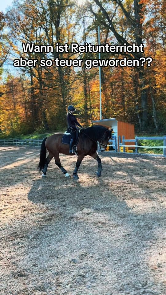 TikTok video thumbnail by herzponys